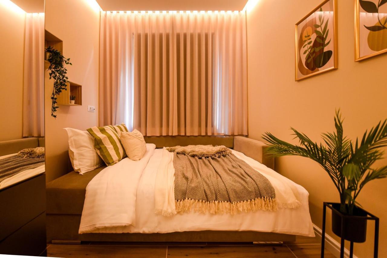 Green Leafy Brasov - Ideal 2 Bedroom Apartment المظهر الخارجي الصورة
