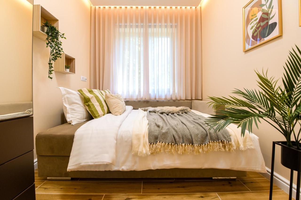 Green Leafy Brasov - Ideal 2 Bedroom Apartment المظهر الخارجي الصورة